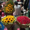 2017雲彩之旅